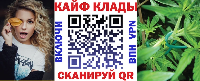 Как найти наркотики Владимир Бошки Шишки