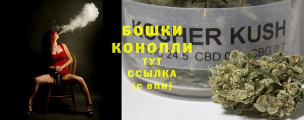 спайс Инсар