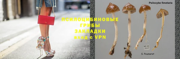 дурь Абинск