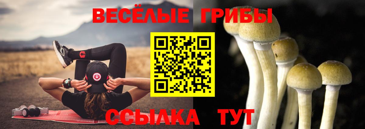 Владимир  Псилоцибиновые грибы MAGIC MUSHROOMS  Вход с VPN 